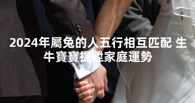 2024年屬兔的人五行相互匹配 生牛寶寶提陞家庭運勢